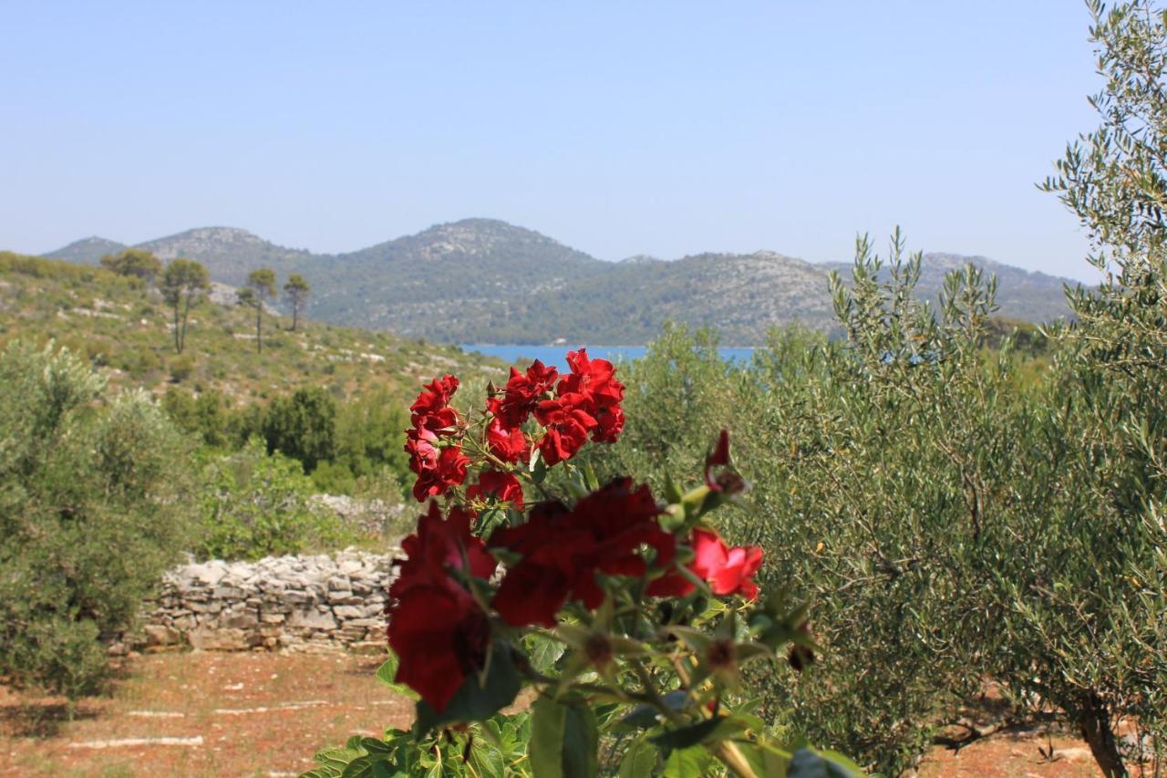 Secluded Fisherman'S Cottage Cove Jaz - Telascica, Dugi Otok - 876 Sali Exteriér fotografie